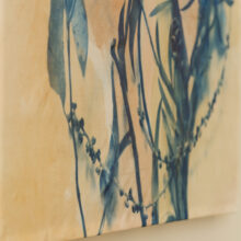 Anna Niskanen - Flowers II _lokalhelsinki2022