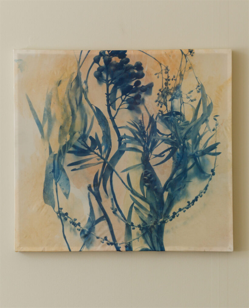 Anna Niskanen - Flowers II_lokalhelsinki2022