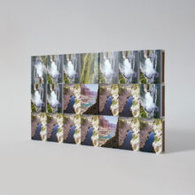 21-Boxes-of-Flames-(2020)-Ananya-Tanttu