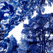 Ekeberg-series-1.-Blue