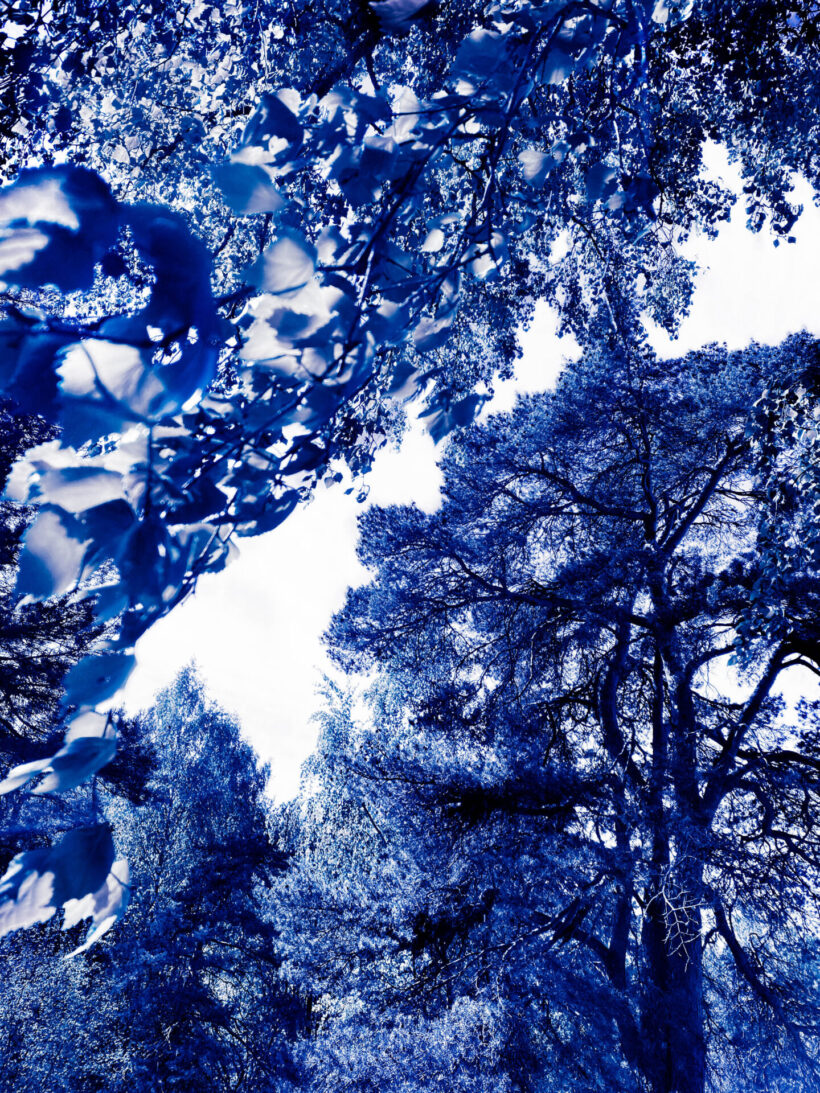 Ekeberg-series-1.-Blue