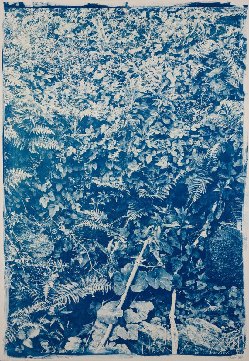 ritavargas_prints_lokalhelsinki2024