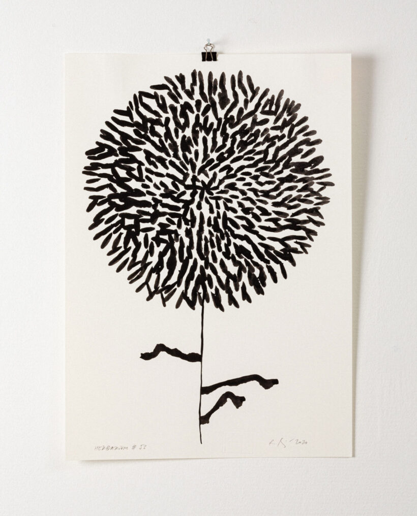 rekakiraly_herbarium53_inkdrawing_artwork_lokalhelsinki2024-15