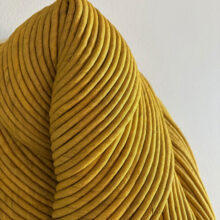 Sini-Villi_Sunflower_close