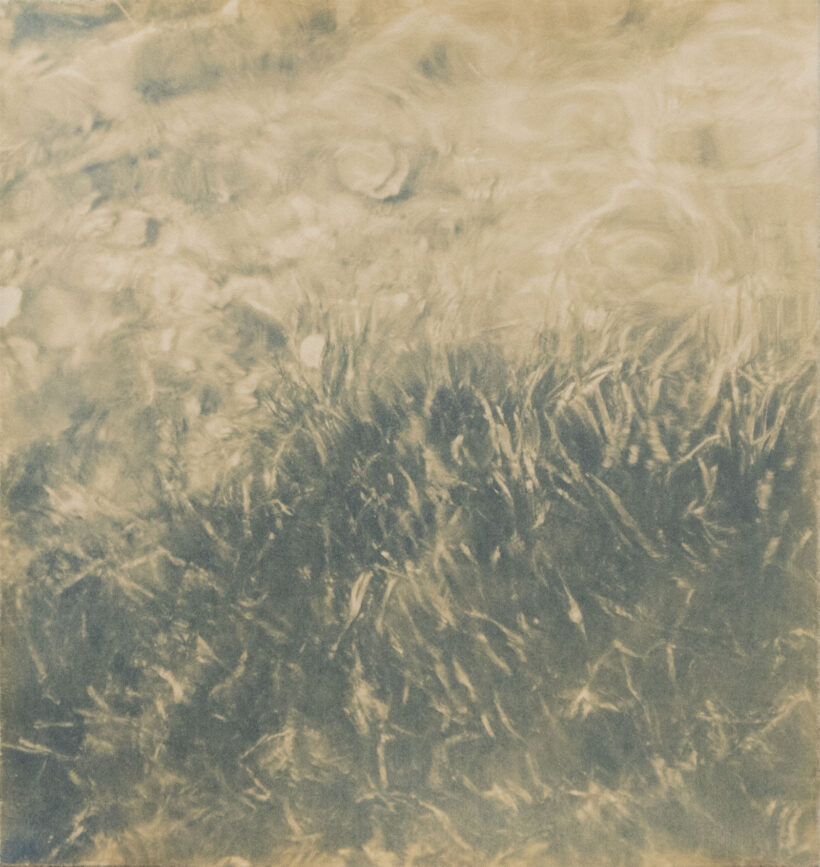 annaniskanen_cyanotype_2025_3